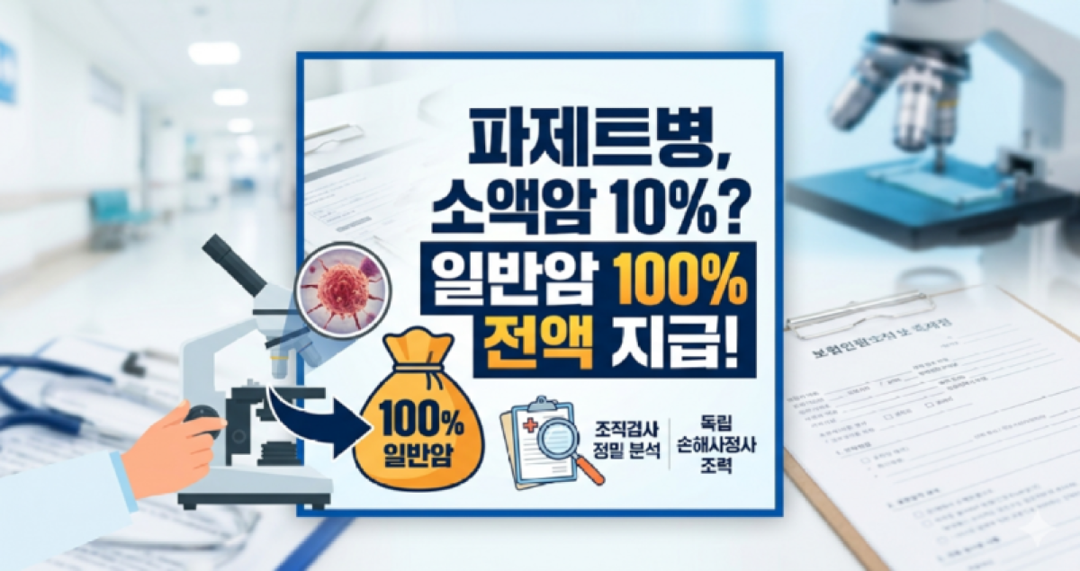 파제트병 일반암진단비.png