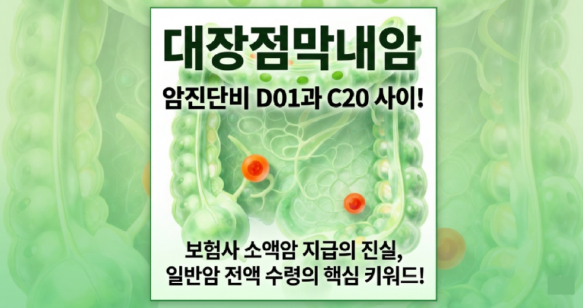 대장점막내암 D01 c20 암진단비 일반암진단비 분쟁 손해사정.png