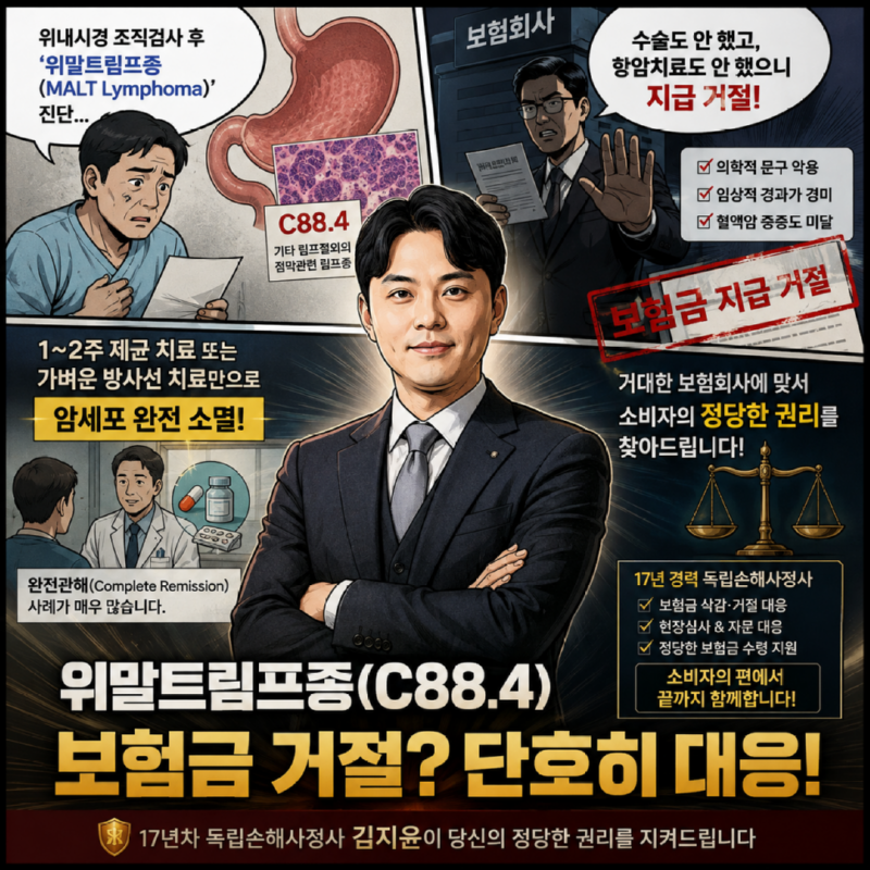 말트림프종 고액암진단비 분쟁 김지윤손해사정사가 해결해드립니다.png