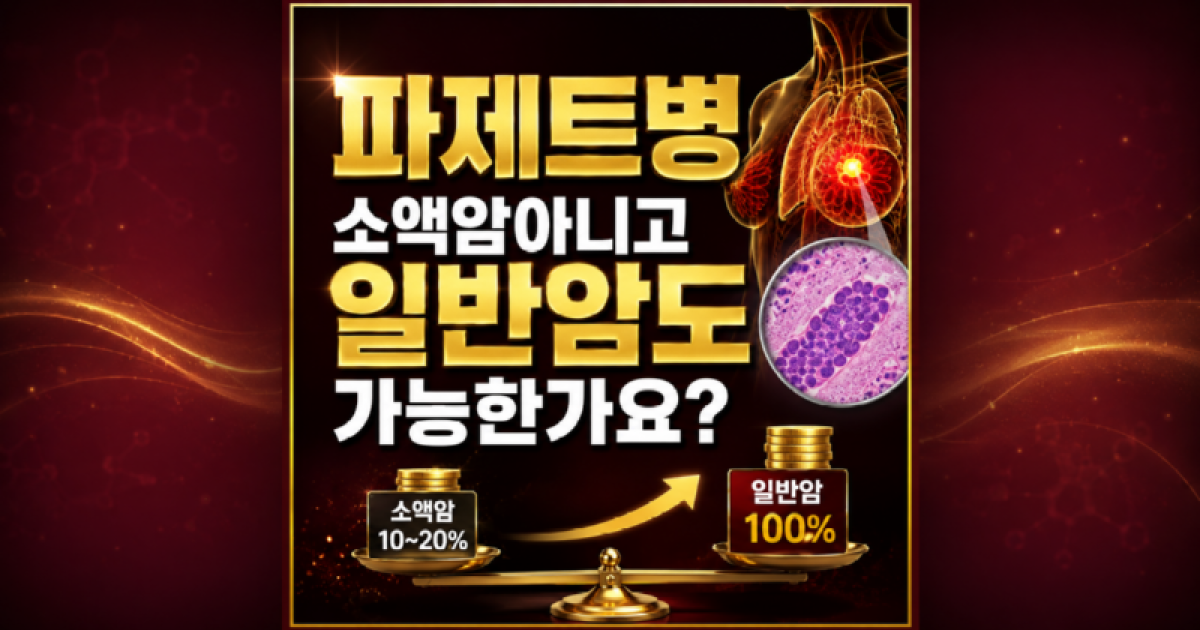 파제트병 소액암 아니고 일반암도 가능한가요 손해사정사 상담 받아보세요.png